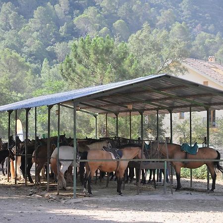 Alojamientos Rural Tejerina Arroyo Frio Bagian luar foto
