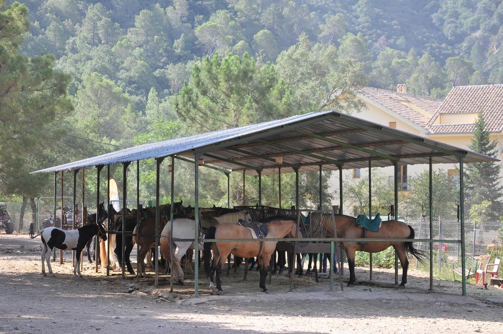 Alojamientos Rural Tejerina Arroyo Frio Bagian luar foto