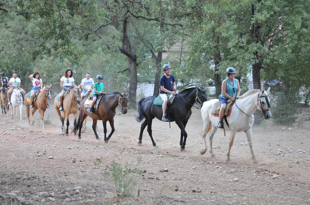 Alojamientos Rural Tejerina Arroyo Frio Bagian luar foto