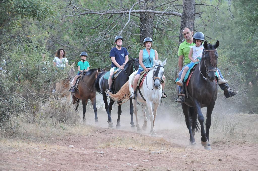 Alojamientos Rural Tejerina Arroyo Frio Bagian luar foto