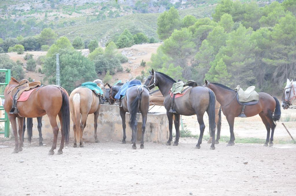 Alojamientos Rural Tejerina Arroyo Frio Bagian luar foto